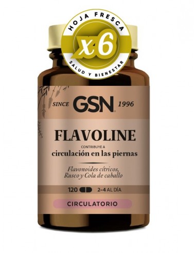 Pack 6 uds Flavoline 120 Comprimidos 555 Mg. de Gsn