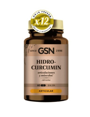 Pack 12 uds Hidro Curcumin 60 Comprimidos de Gsn