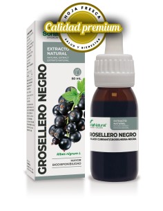 Extracto De Grosellero Negro De Soria Natural
