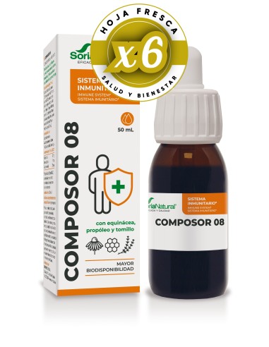Pack 6 uds Composor 8 - Echina Complex S. Xxi...